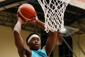 蜘蛛直播足球免费观看wnba_低调看球吧_比分结果预测